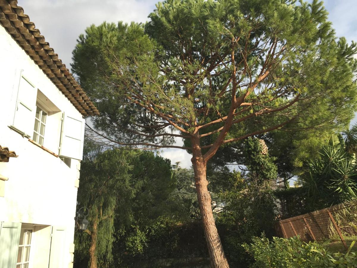Villa Alessia Antibes Exterior foto